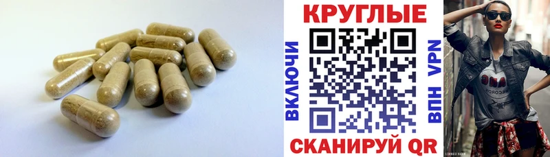 Ecstasy диски  мега зеркало  Анива 