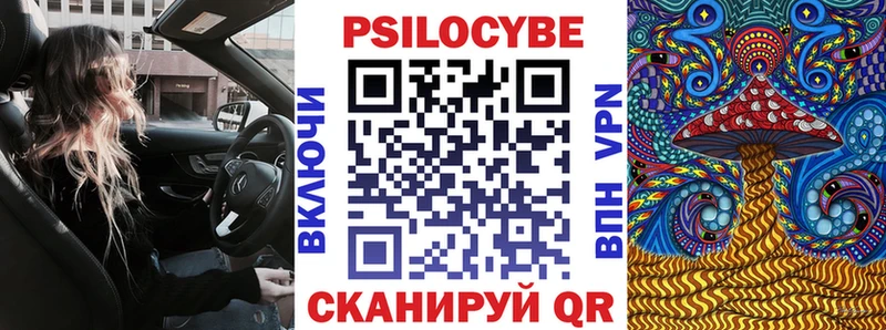 kraken что такое Анива Псилоцибиновые грибы MAGIC MUSHROOMS
